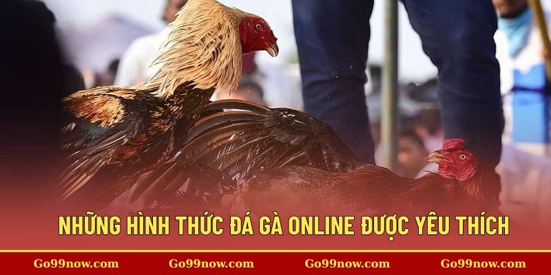 Hình thức đá gà trực tuyến được đông đảo người chơi yêu thích