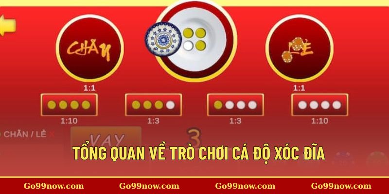 Tổng quan về trò chơi cá độ xóc đĩa  